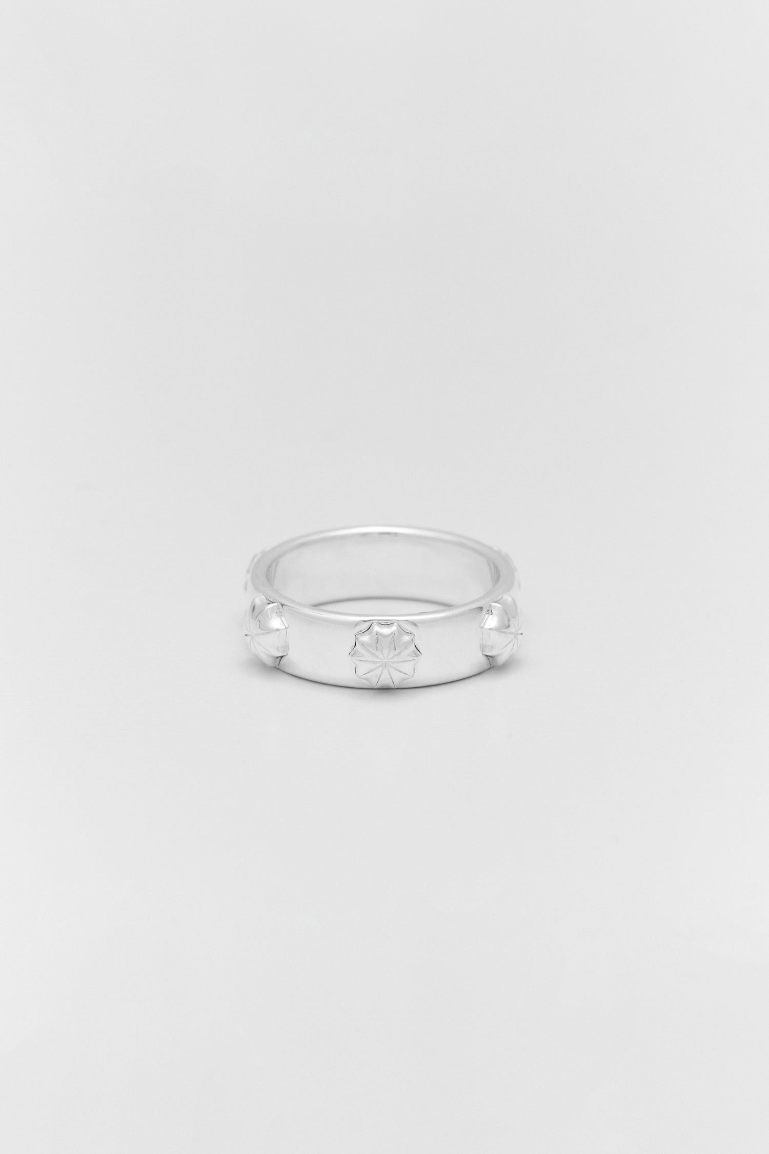 ANPOL Ring