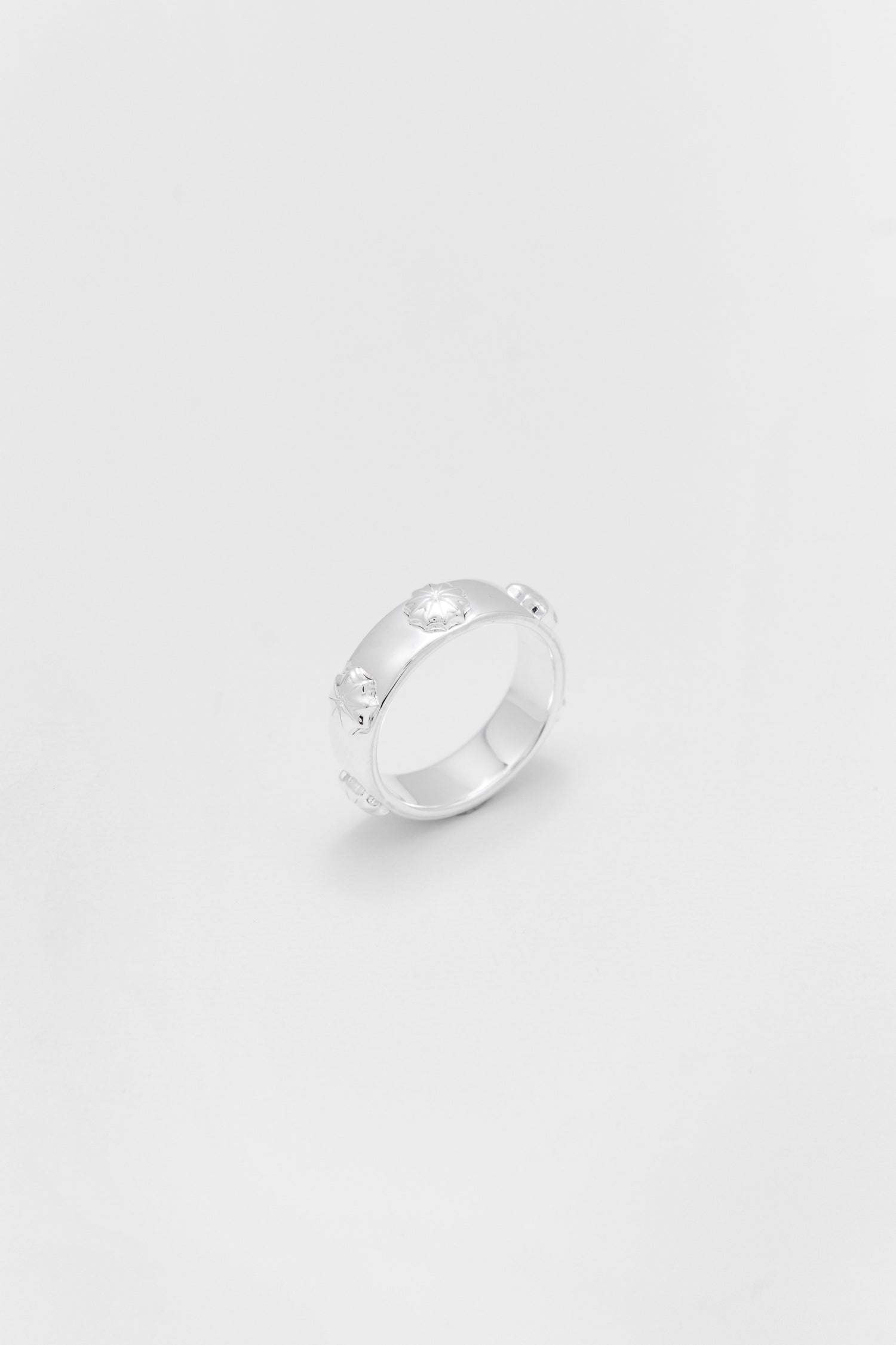 ANPOL Ring