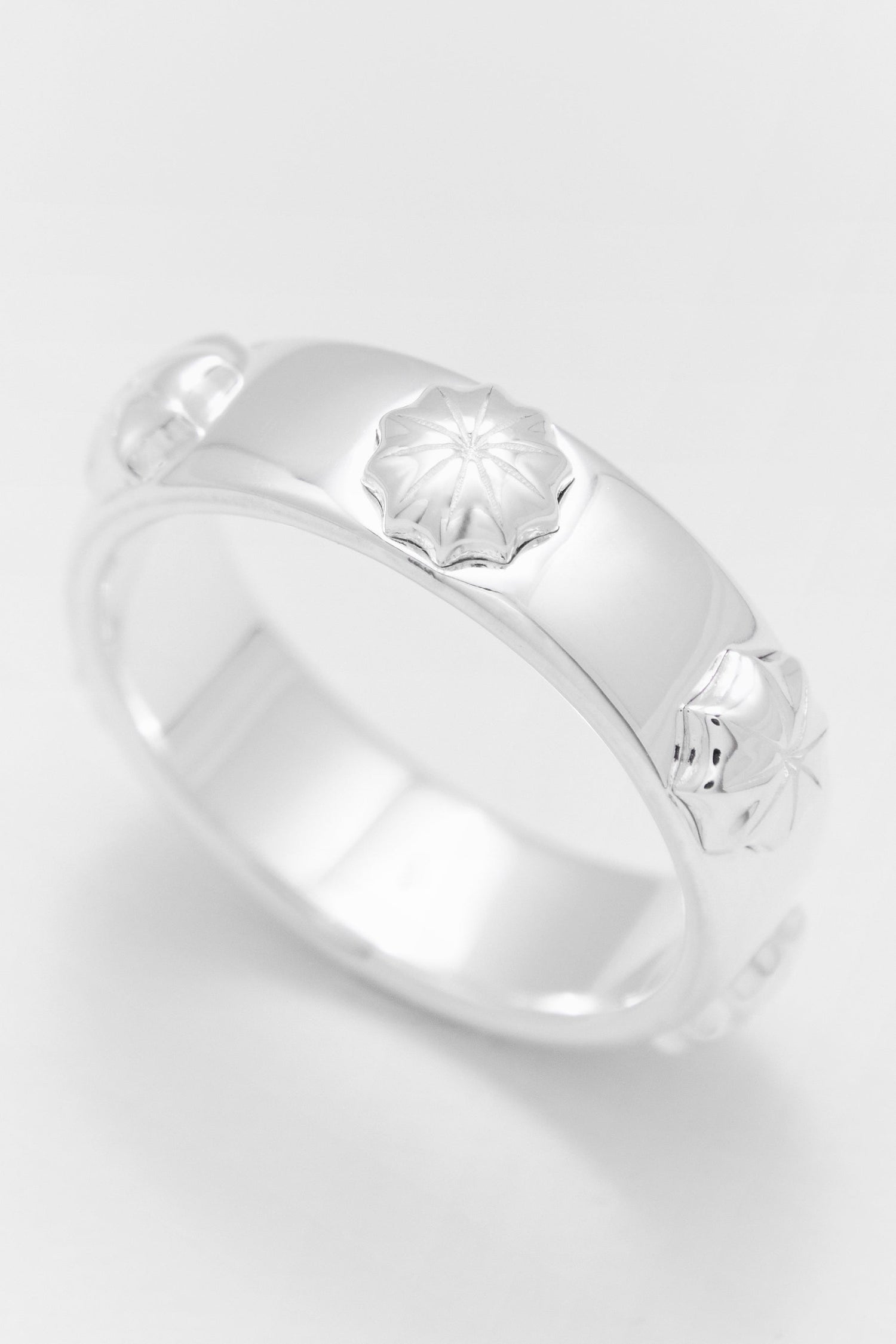 ANPOL Ring